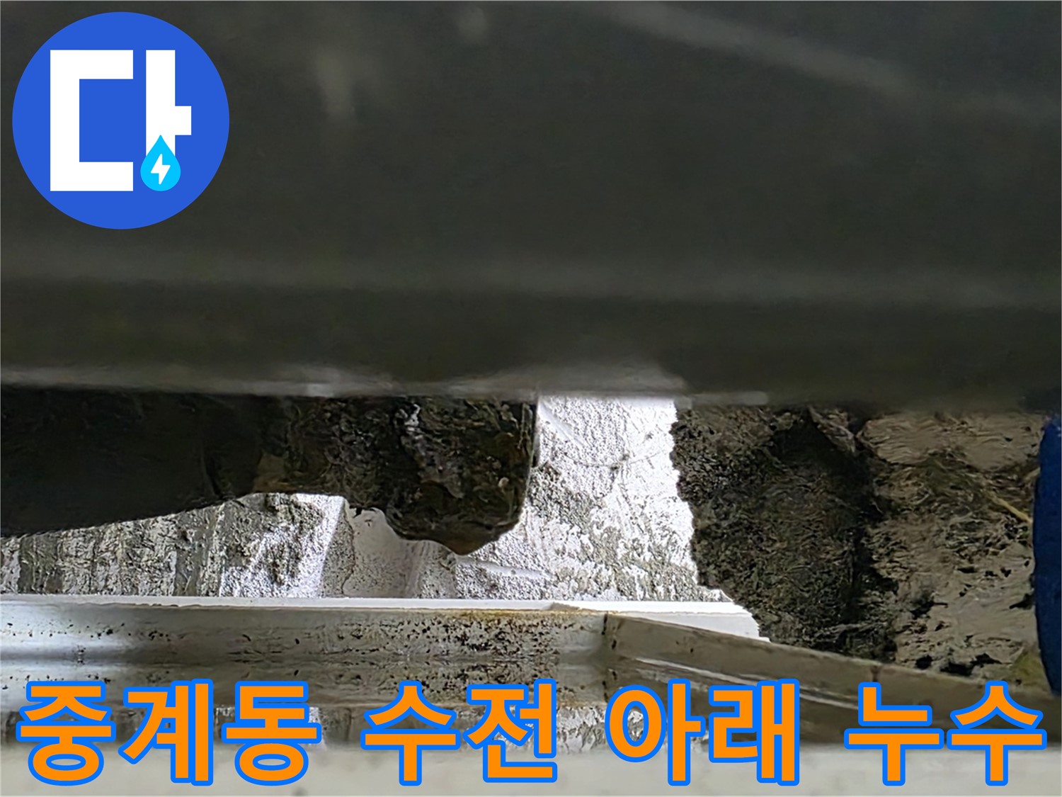 중계동 싱크대 수전 아래 누수 - 수도꼭지 문제 의심