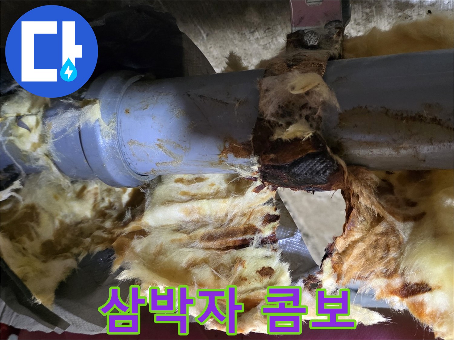 남양주 두산아파트 누수 - 배관 누수, 젖은 단열재, 곰팡이 3가지 문제가 동시에 발생했습니다.
