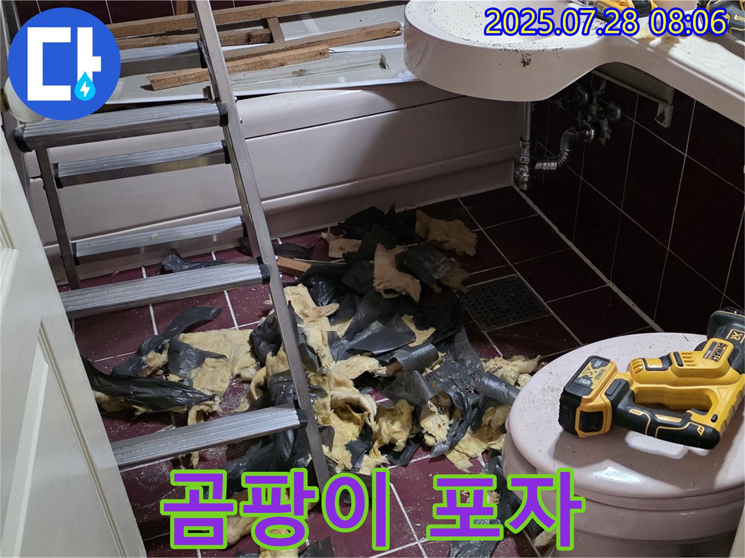 남양주 화도 (구)두산아파트 욕실 누수 - 철거 후 곰팡이 포자 발견 - 꼼꼼하게 제거하고 살균 소독까지!