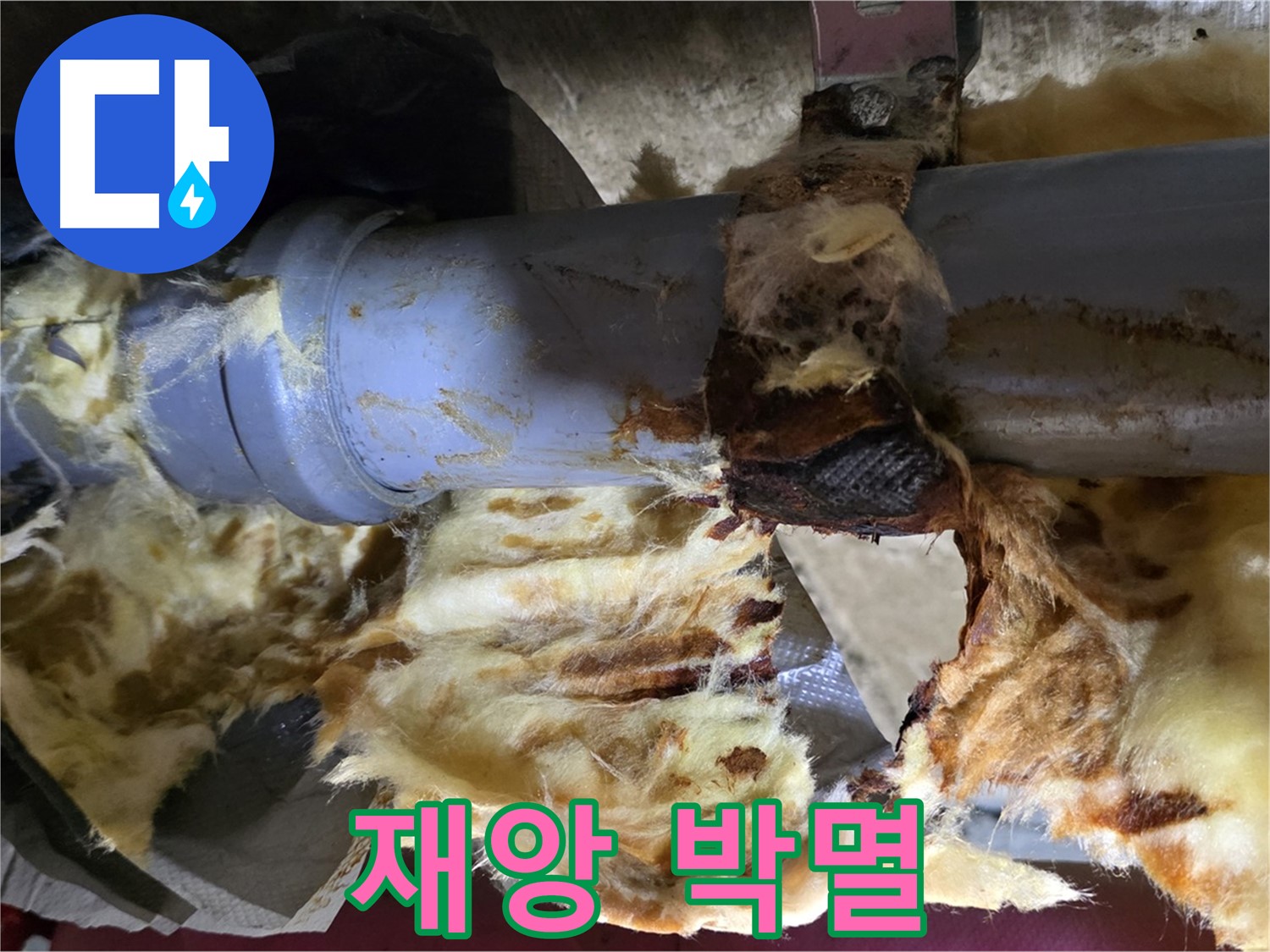 두산아파트 누수 - 낡은 배관, 곰팡이, 젖은 단열재 3가지 재앙을 완전 박멸했습니다.