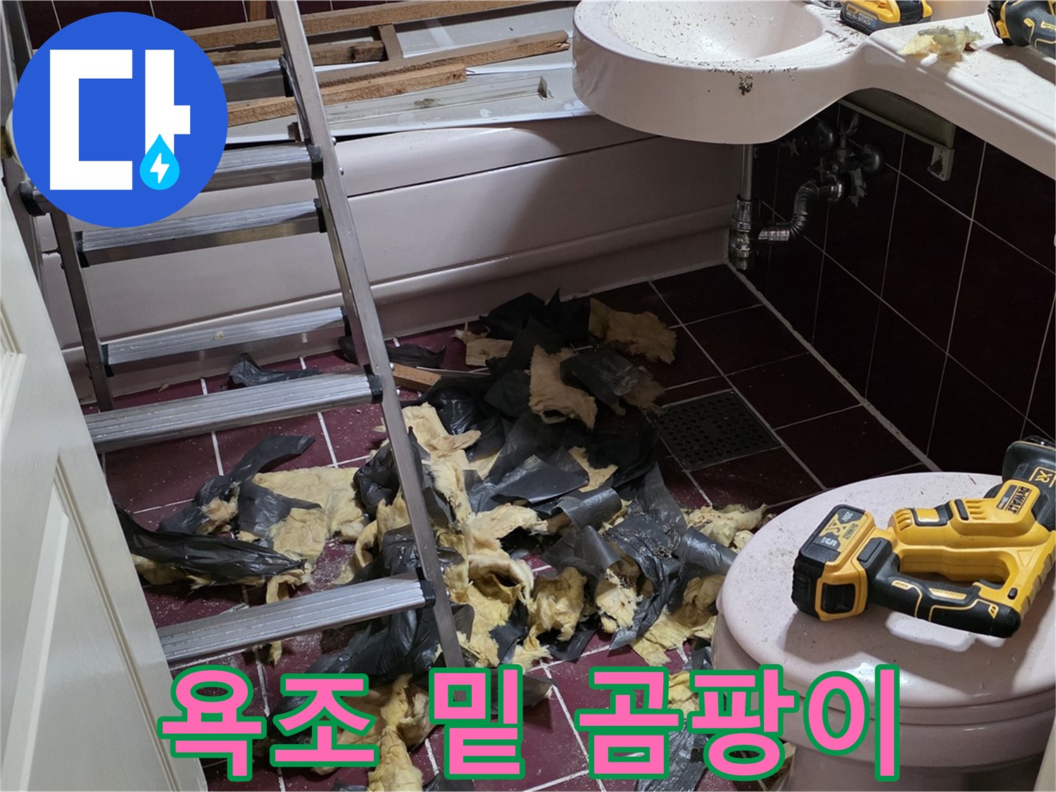 화도읍 두산아파트 욕실 낡은 욕조 밑에 숨겨진 곰팡이 아지트 발견