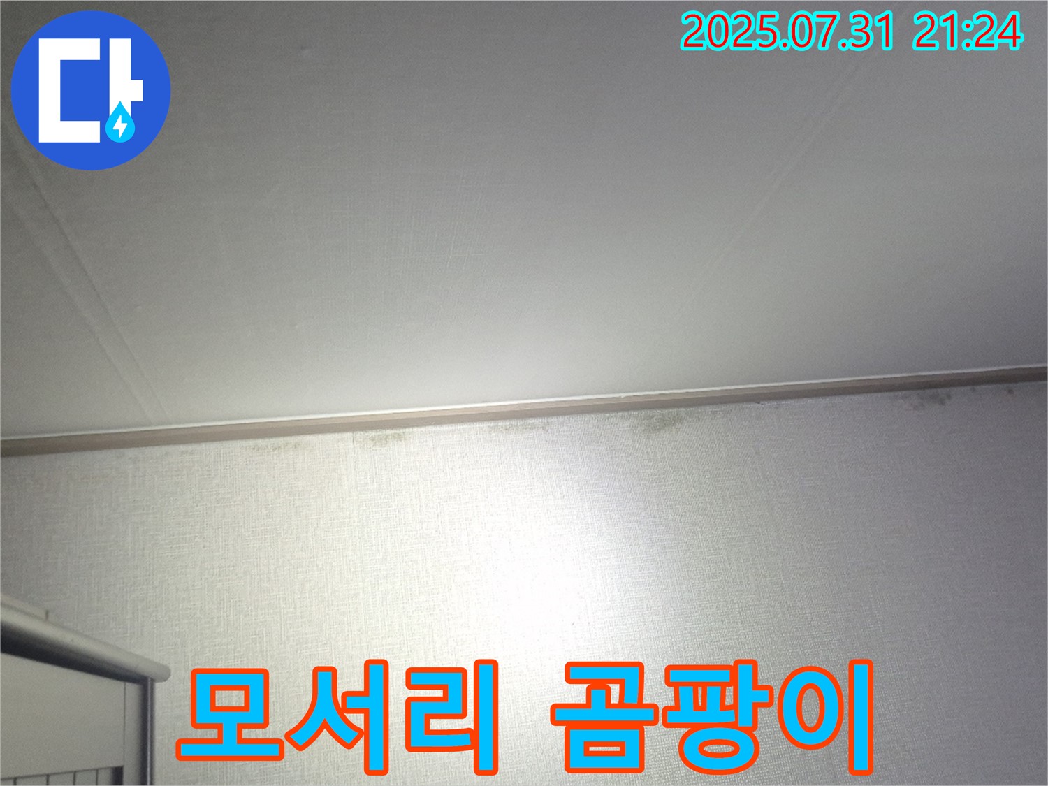고양시 덕양구 벽 모서리 곰팡이 - 꼼꼼한 진단과 맞춤 시공으로 해결