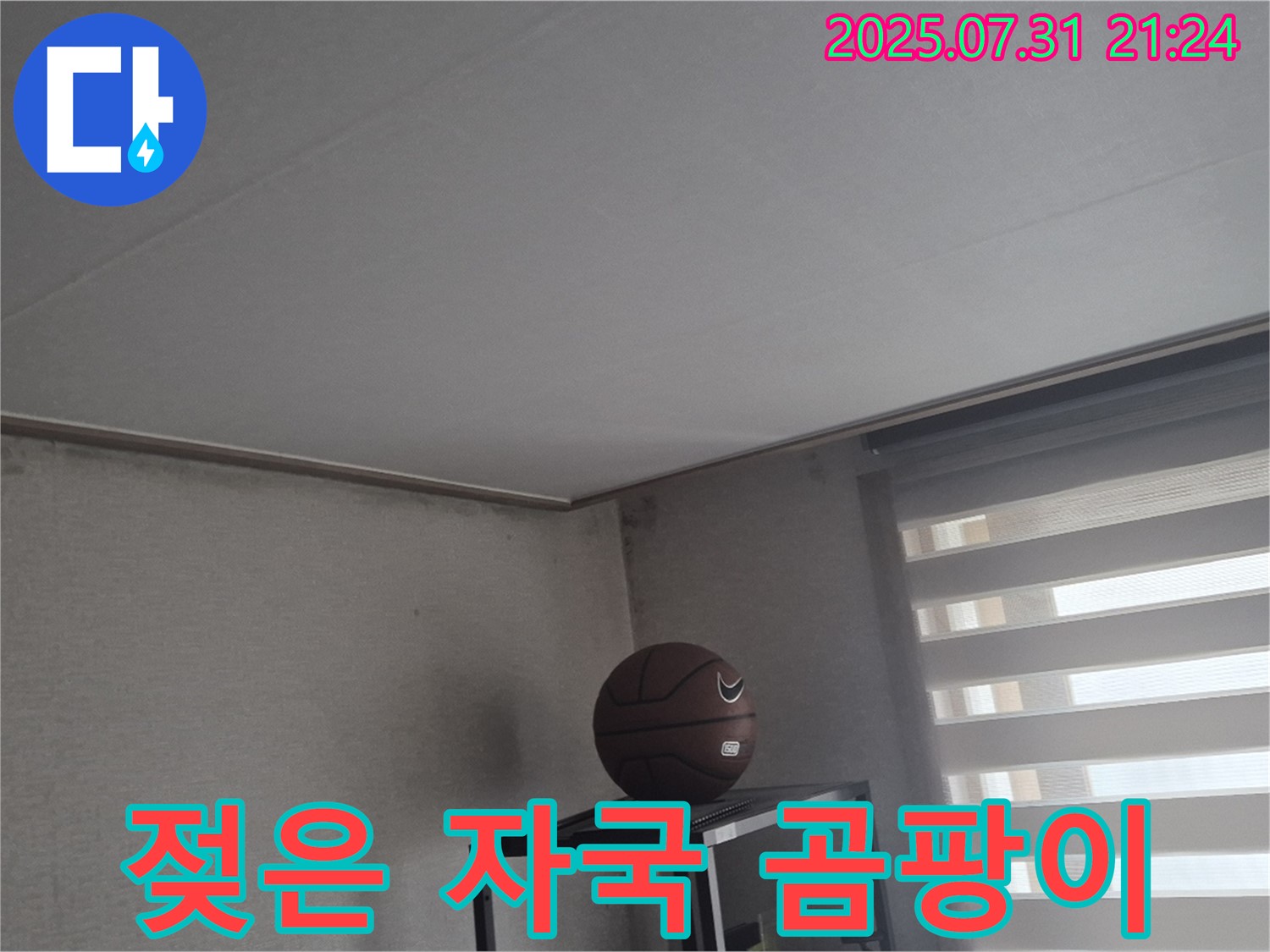 고양시 덕양구 천장 누수 - 젖은 자국, 곰팡이 번식 주의!