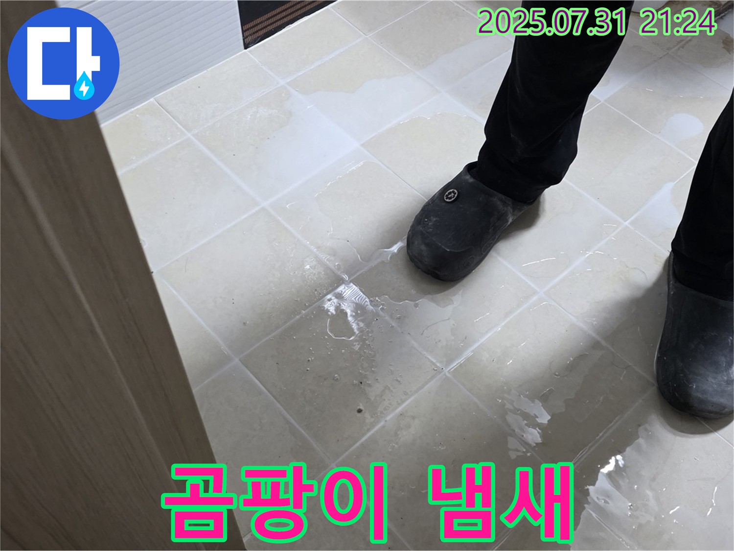 고양시 욕실 누수 - 곰팡이 냄새, 건강 위협