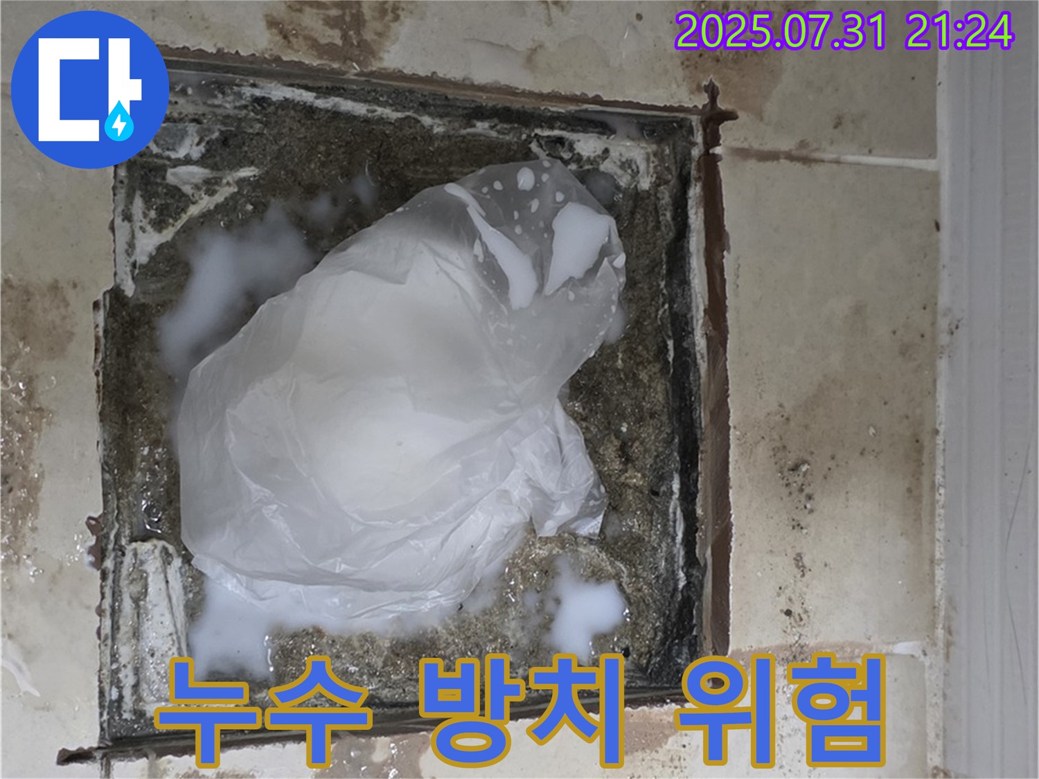 고양시 - 욕실 하수구 누수, 곰팡이와 악취 발생