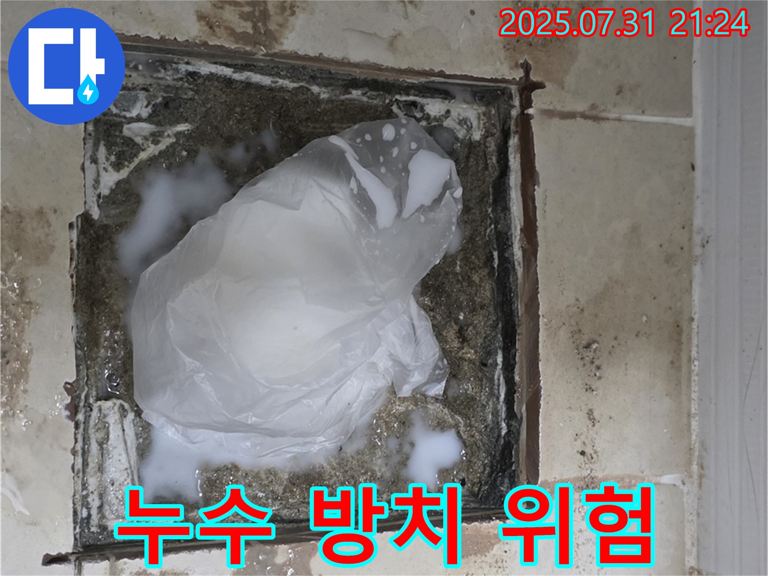 고양시 - 욕실 하수구 누수, 곰팡이와 악취 발생