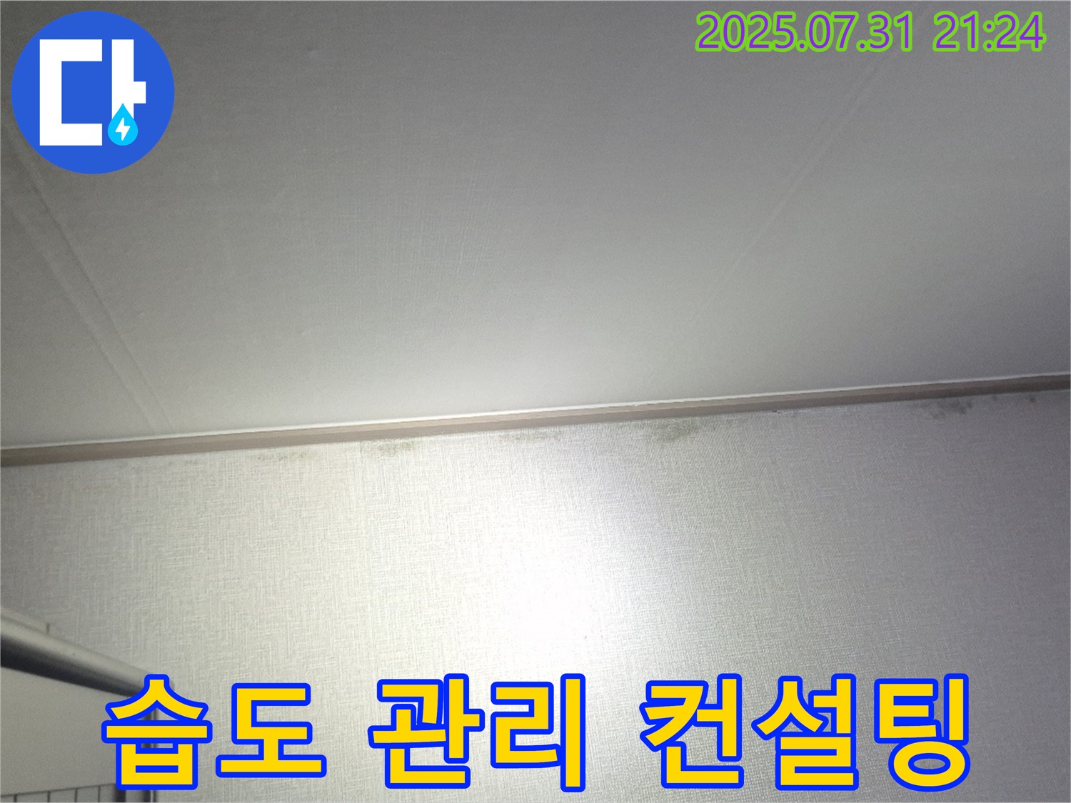 덕양구 벽 곰팡이 - 곰팡이 제거 후 실내 습도 관리 컨설팅 제공