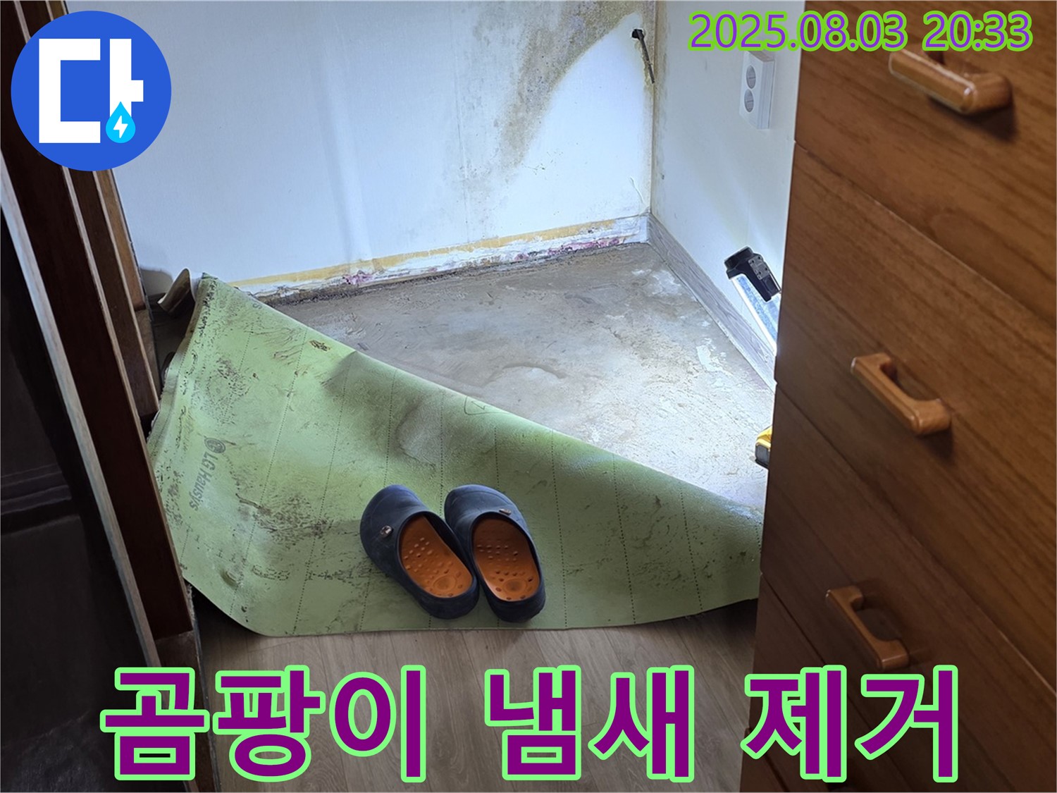 곰팡이 냄새 제거 - 상쾌한 공기