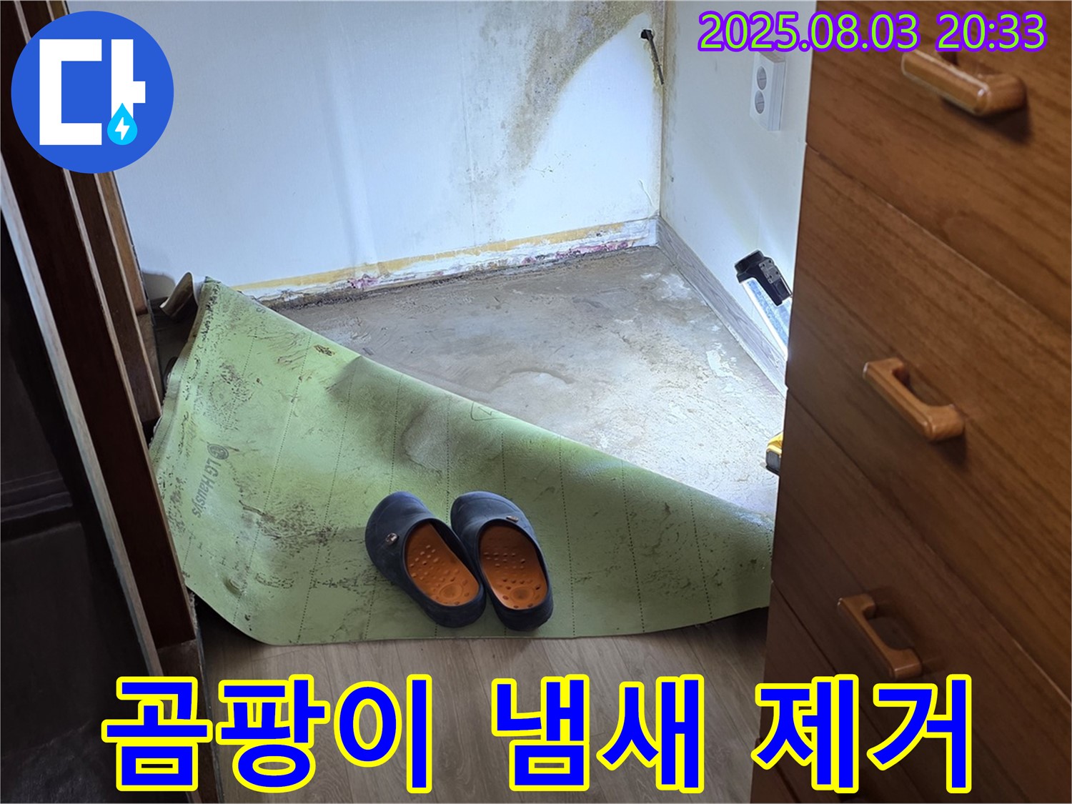 곰팡이 냄새 제거 - 쾌적한 환경