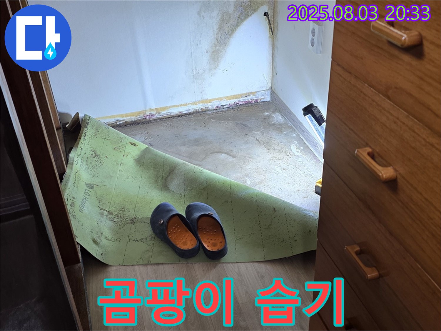 곰팡이 습기 - 쾌적한 환경 조성