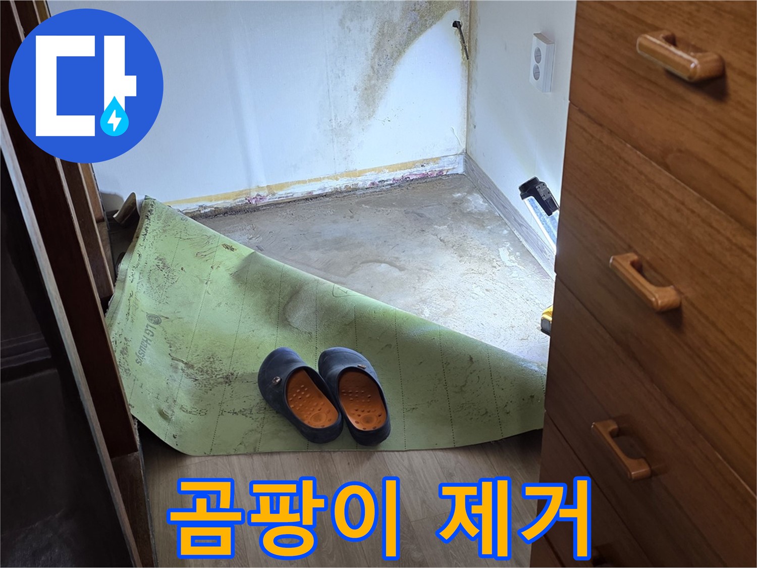 곰팡이 제거 작업 - 건강한 환경을 위해