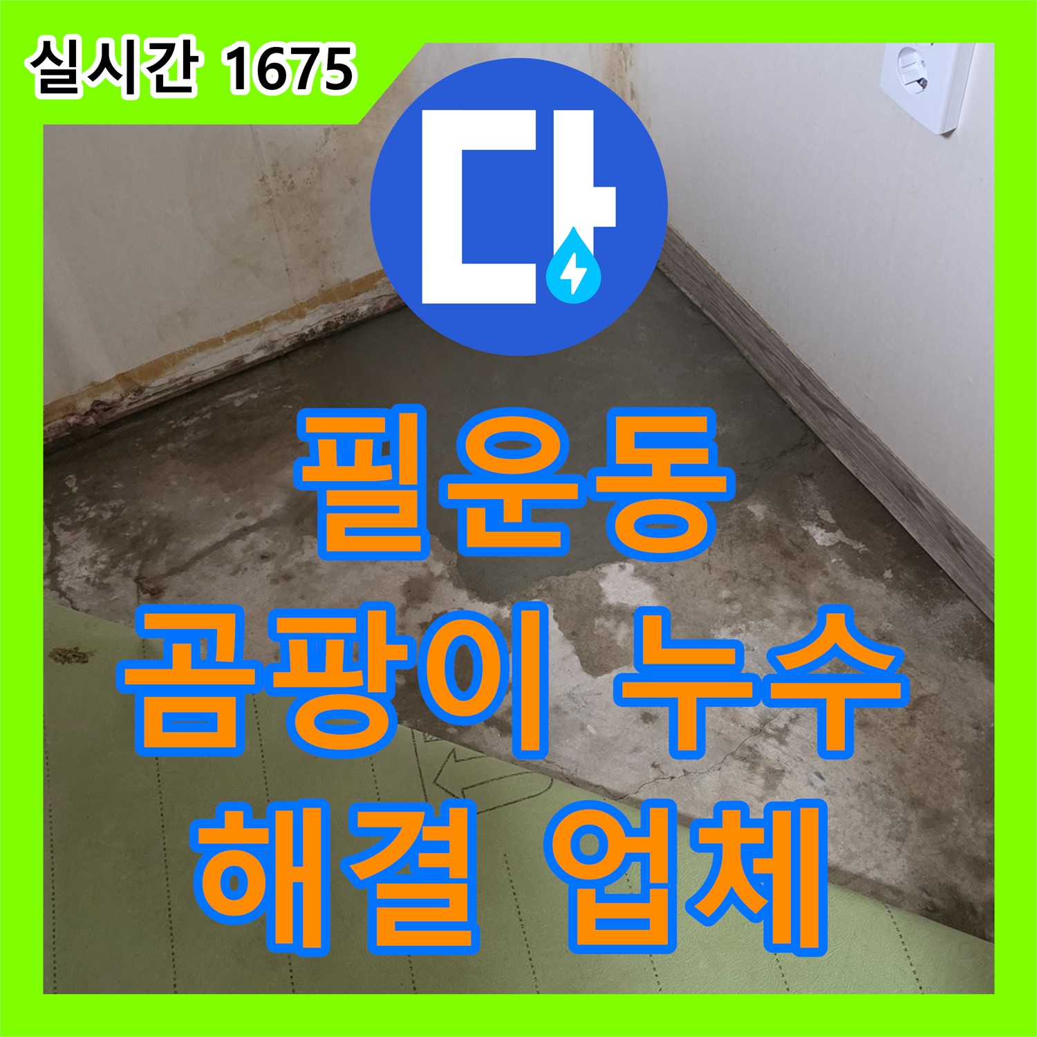 누수탐지업체, 종로구 필운동 곰팡이 누수 해결 과정
