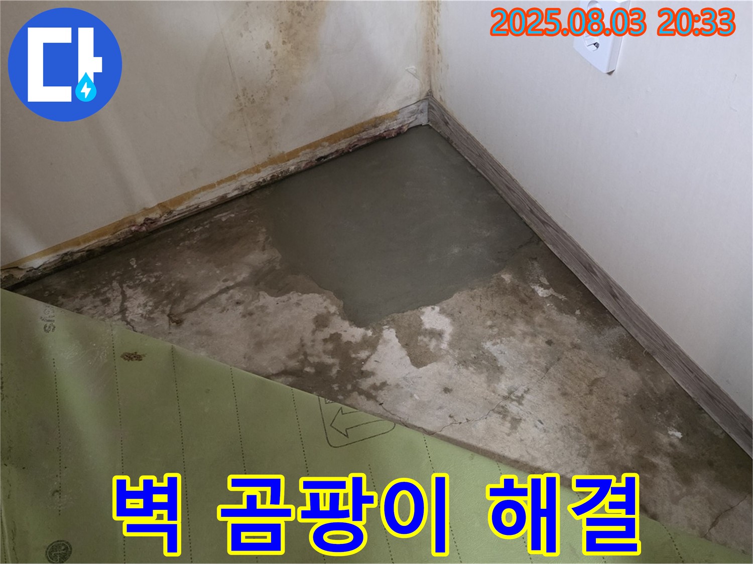 벽 누수와 곰팡이 동시 해결 - 확실한 시공으로 문제 해결