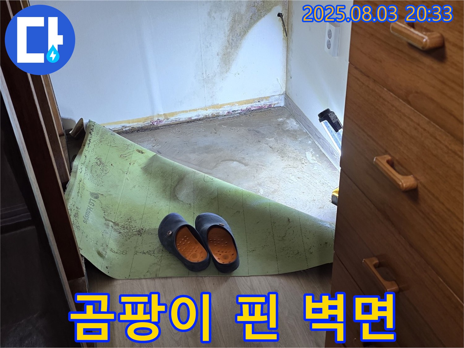 벽면 곰팡이 - 누수 증거
