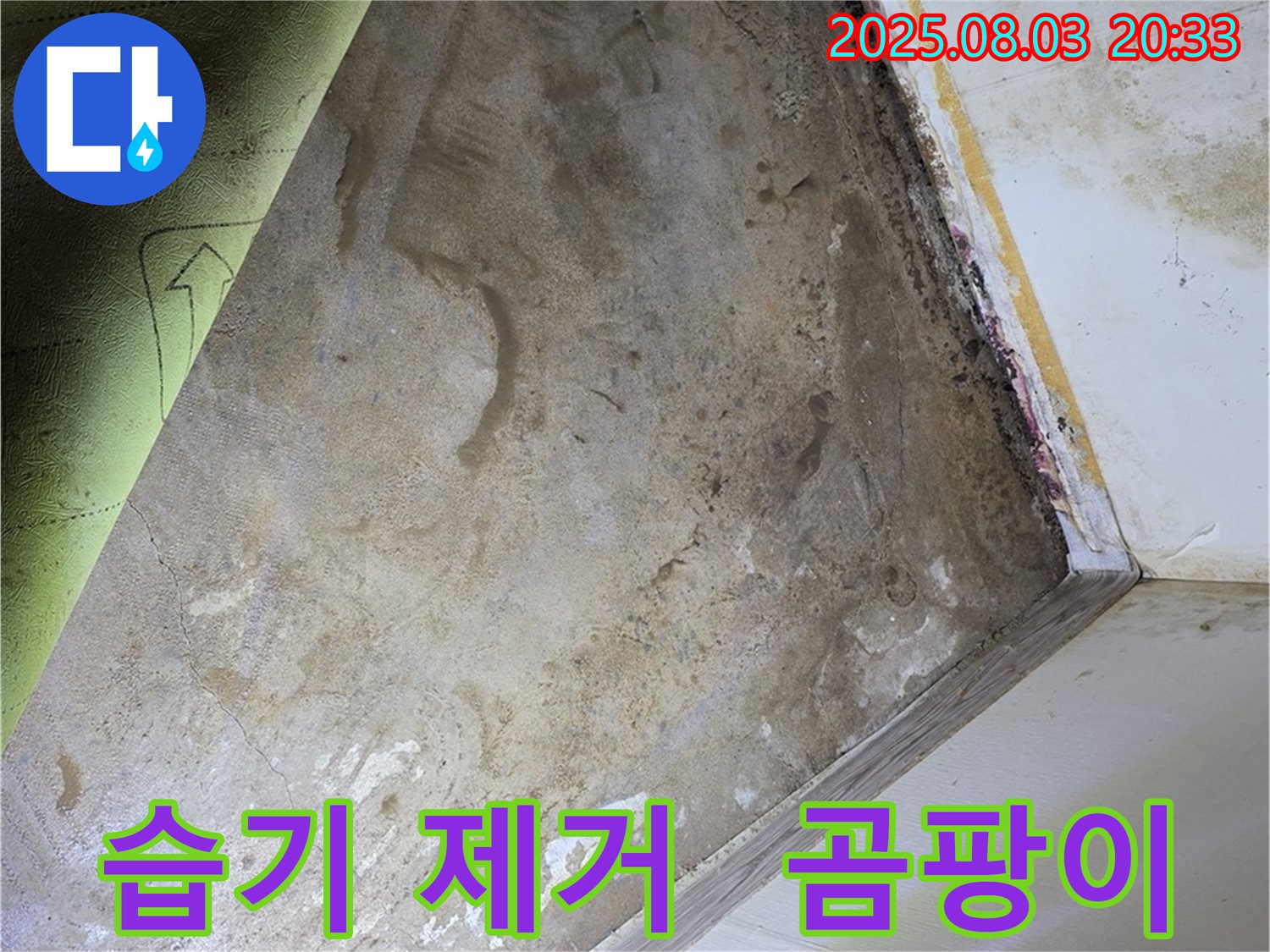 자하문로19길 주택 - 습기 제거 - 곰팡이 제거 작업