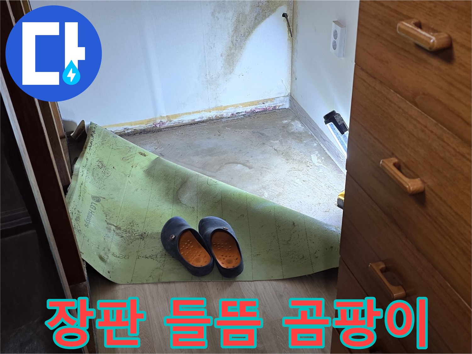 장판 들뜸과 곰팡이 - 습기 찬 환경의 증거