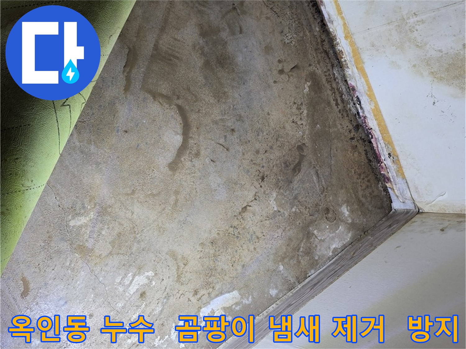 장판 밑 곰팡이 냄새 - 옥인동 냄새 제거와 곰팡이 방지
