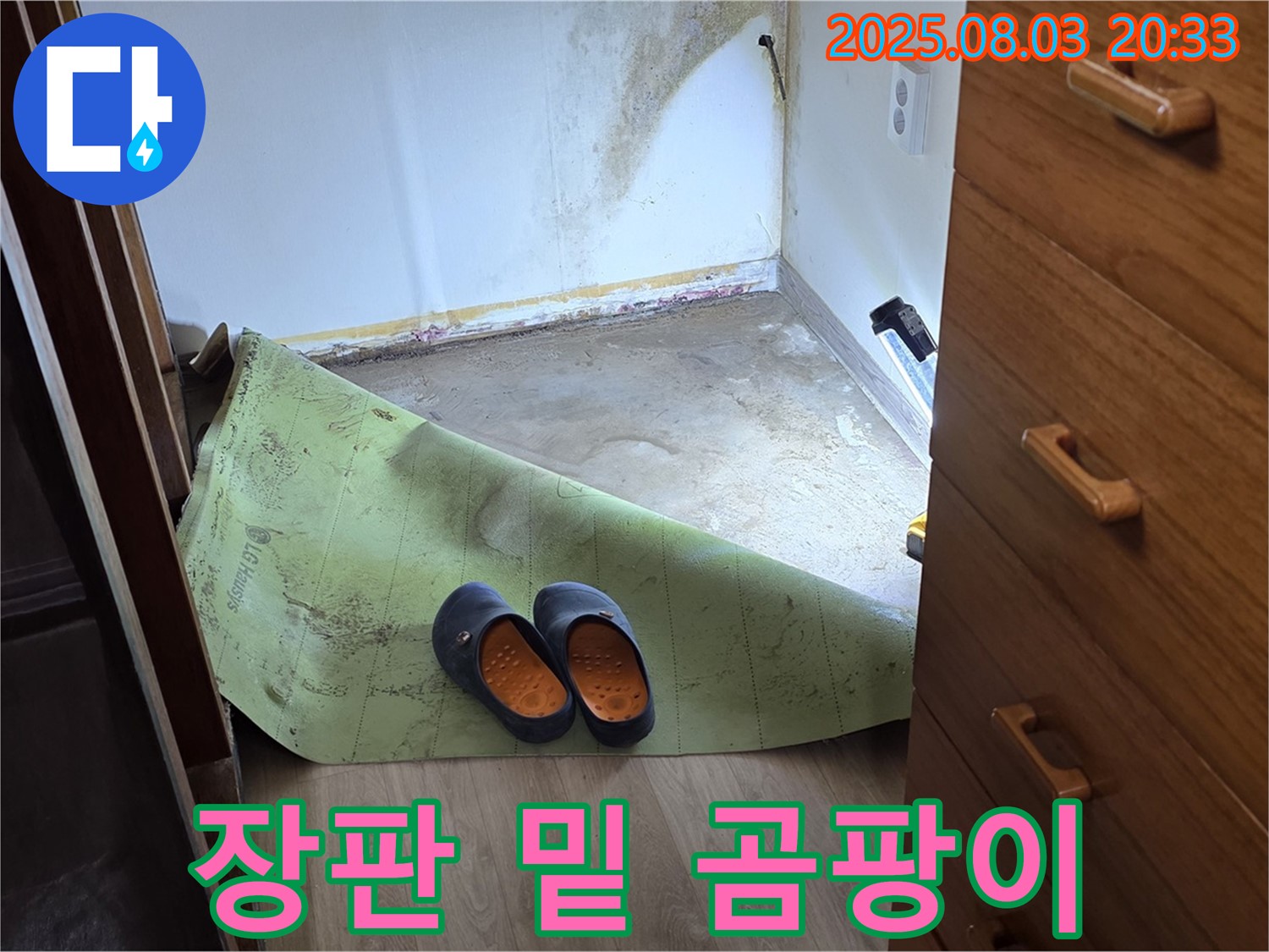 장판 밑 곰팡이 - 습기와 곰팡이