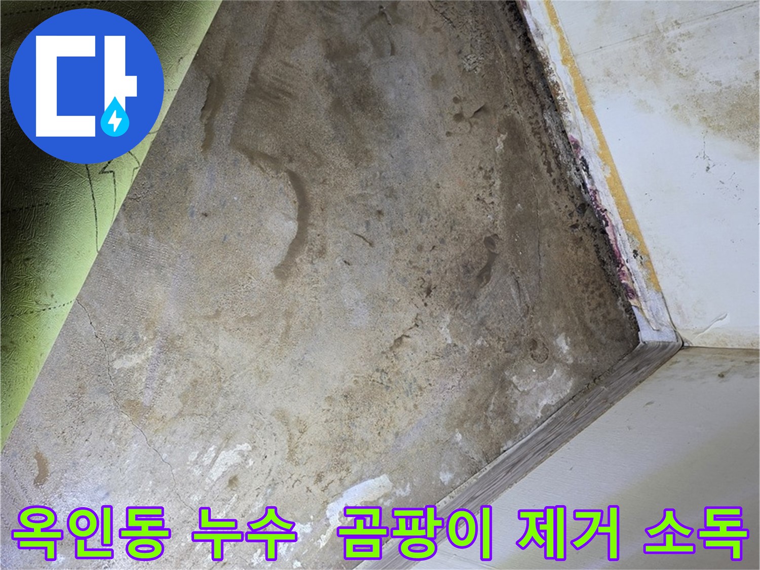 장판 밑 곰팡이 - 옥인동 곰팡이 제거부터 실내 소독까지