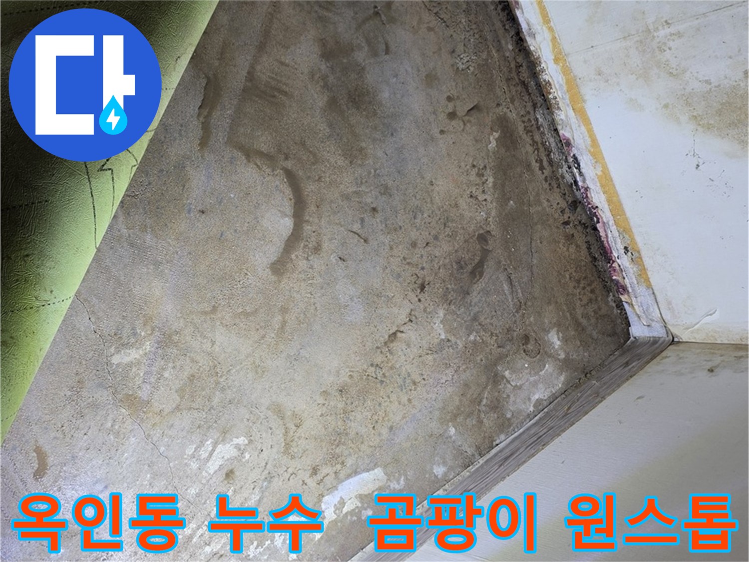 장판 밑 곰팡이 - 옥인동 누수 탐지부터 곰팡이 제거까지