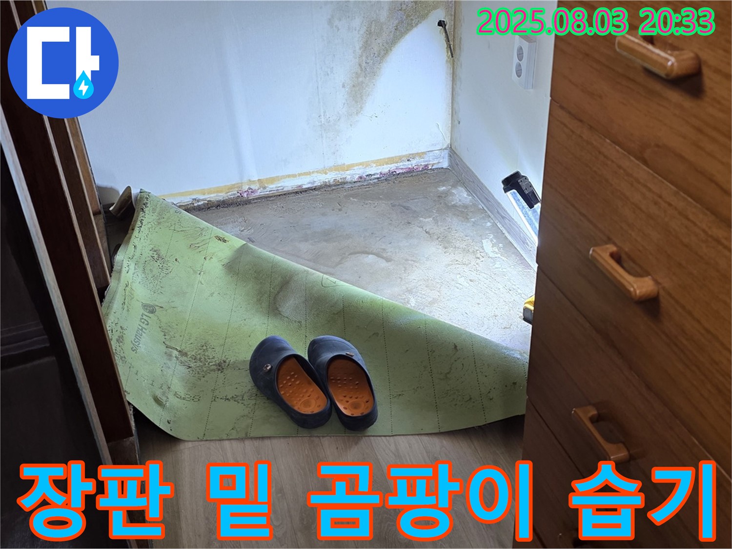 장판 밑 곰팡이와 습기 - 누수 의심