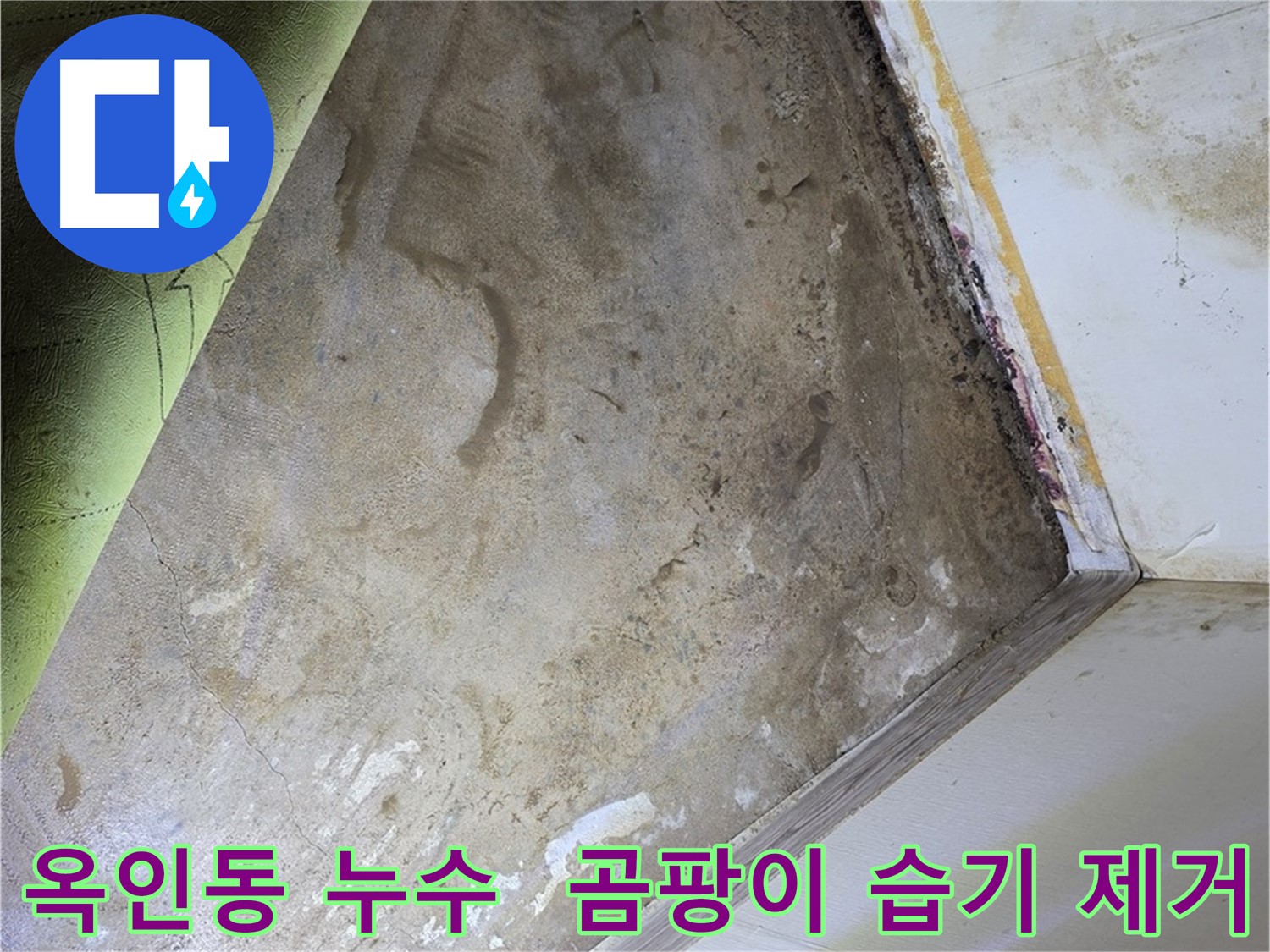 장판 밑 곰팡이와 습기 - 옥인동 누수 해결 작전 개시