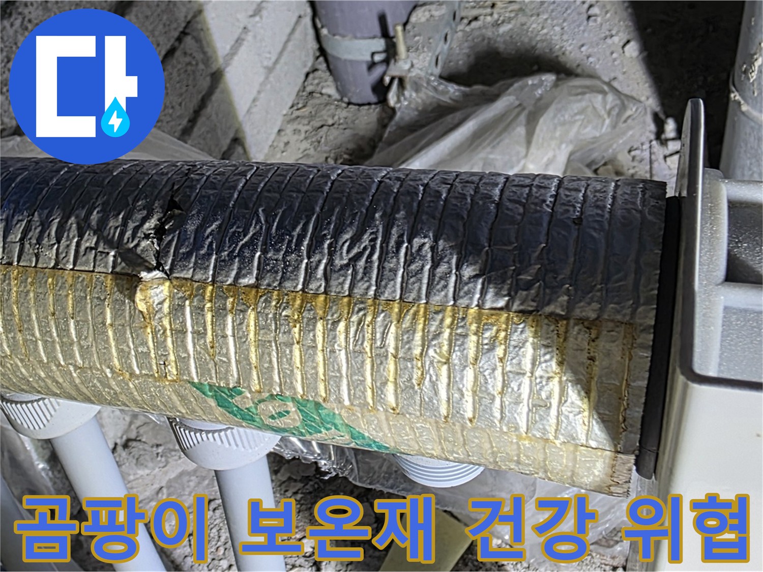 삼숭동 누수 - 곰팡이 핀 배관 보온재, 건강까지 위협