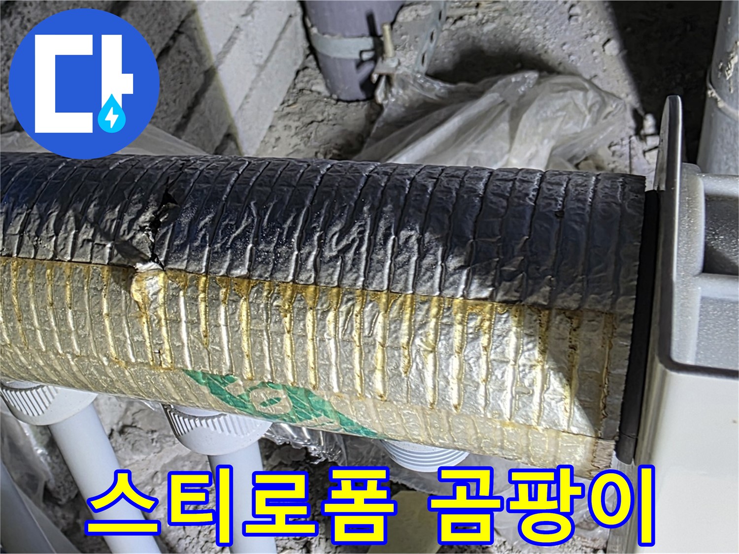 삼숭동 누수 - 훼손된 스티로폼 - 곰팡이 서식 위험