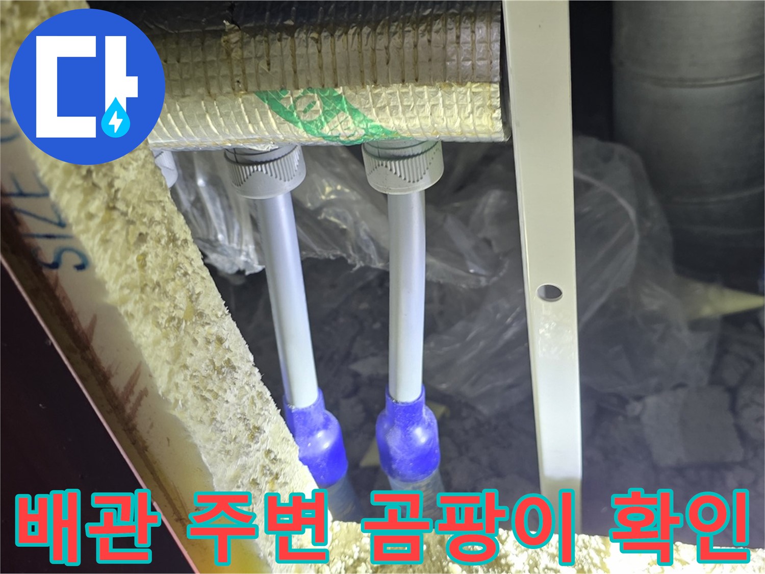 삼숭동 아파트 누수 - 배관 주변 곰팡이 발생 확인