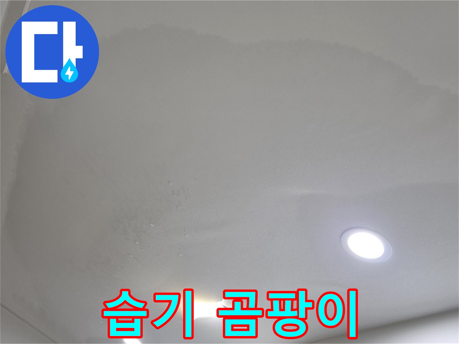 삼숭동 자이 누수 - 축축한 습기, 곰팡이 주의