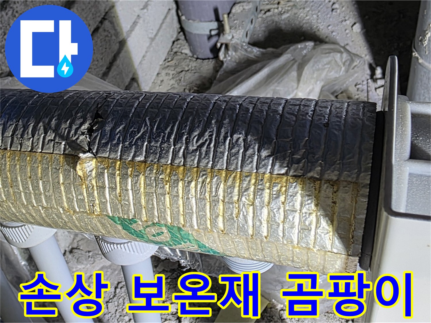 삼숭동 자이아파트 - 손상된 보온재, 곰팡이 번식