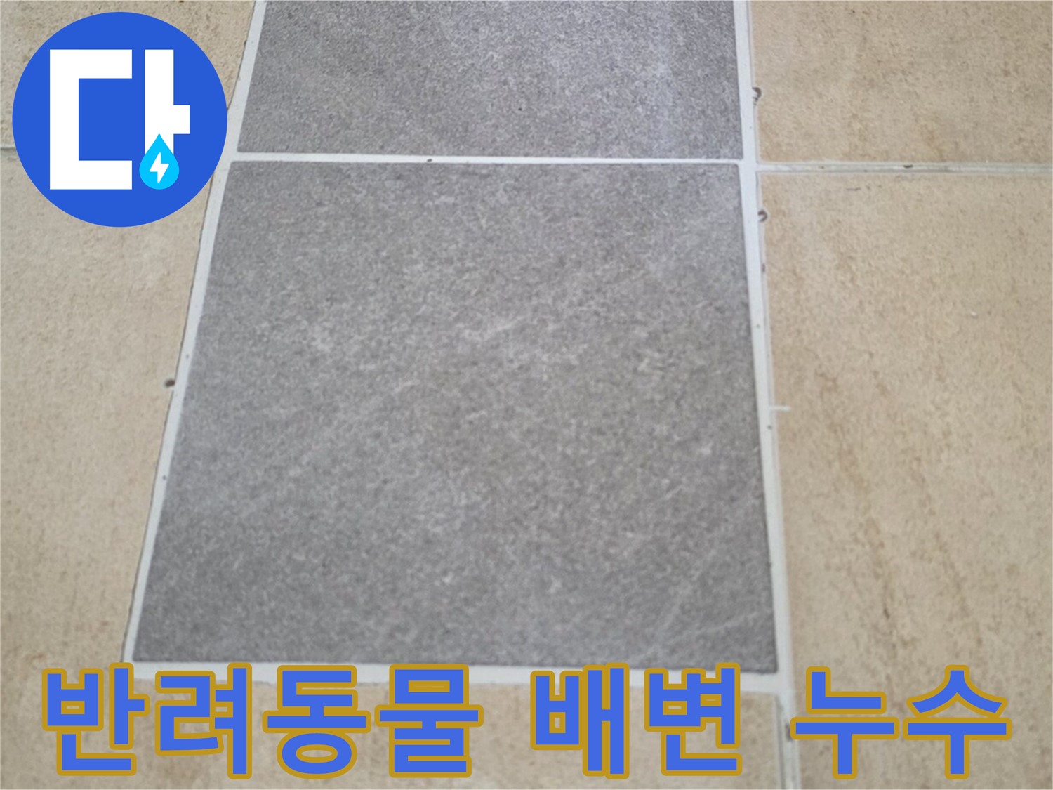 양주 삼숭동 아파트 - 반려동물 배변으로 인한 타일 누수 가능성을 점검하고 있습니다.