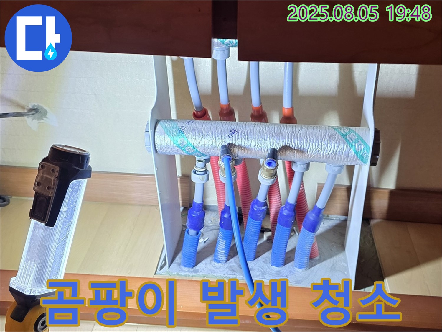 양주 삼숭동 양주자이 싱크대 누수 - 분배기 주변에 곰팡이가 발생하여 청소 작업을 진행합니다.