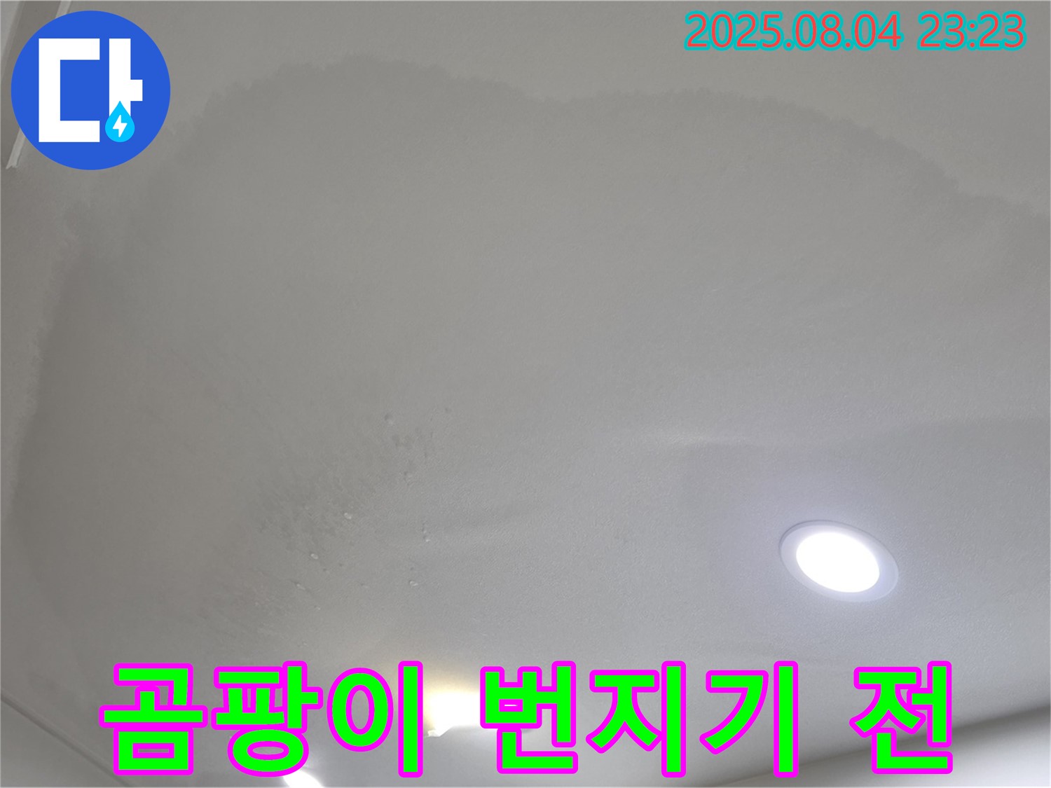 양주 삼숭동 자이 아파트 누수 - 젖은 천장, 곰팡이로 번지기 전에 해결하세요!