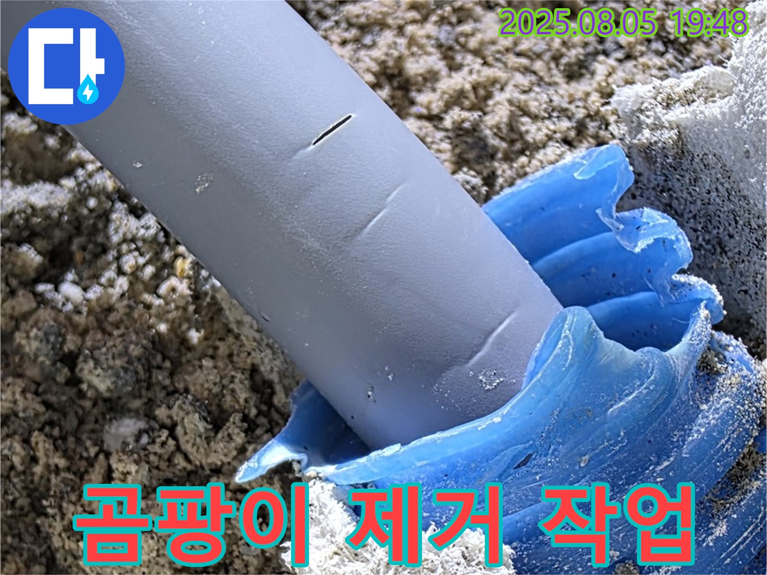양주 삼숭동 자이아파트 누수 - 누수로 인한 곰팡이 제거 작업