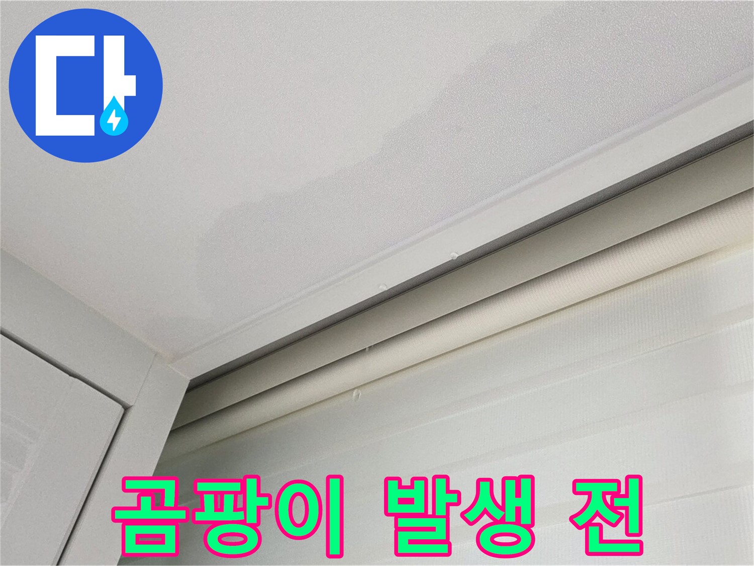 양주 삼숭동 자이아파트 천장 누수 - 곰팡이 발생 전 누수 조치
