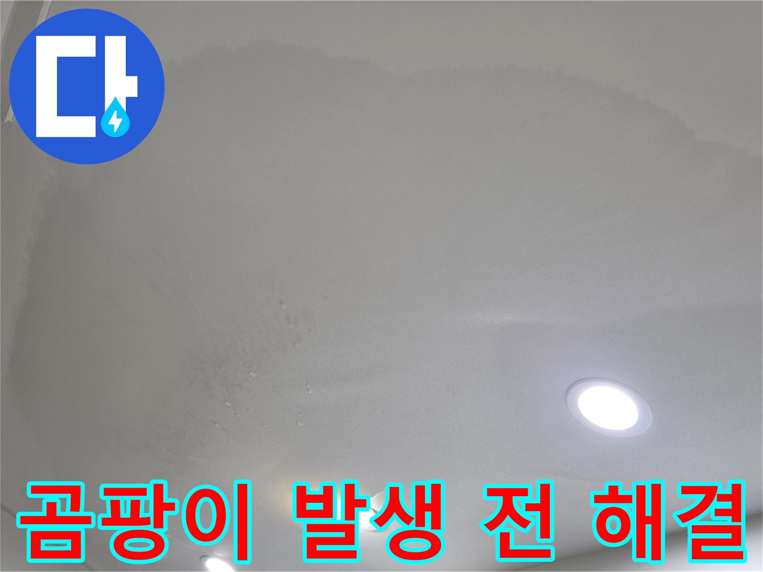 양주 아파트 천장 누수 - 곰팡이 발생 위험