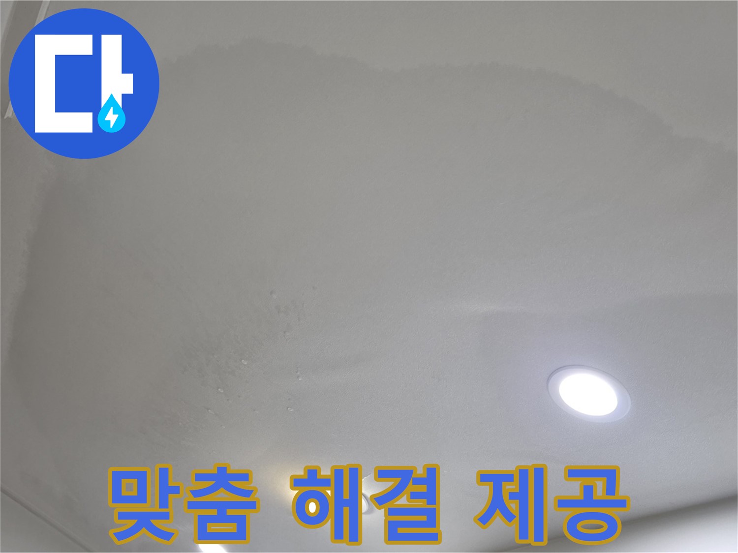 양주 천장 누수 - 넓은 얼룩, 맞춤 해결책