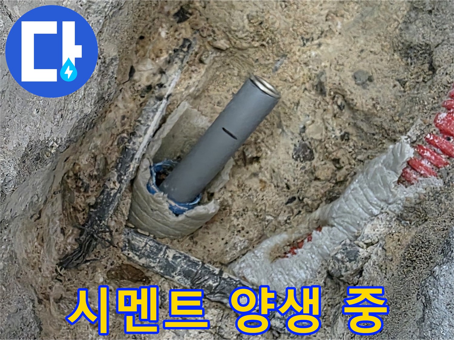 자이아파트 누수 - 꼼꼼 시멘트 양생