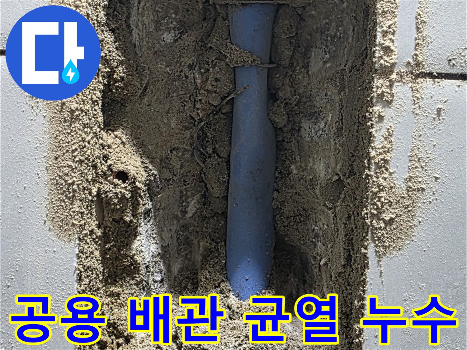 금곡동 누수 - 공용 배관의 작은 균열로 인한 누수