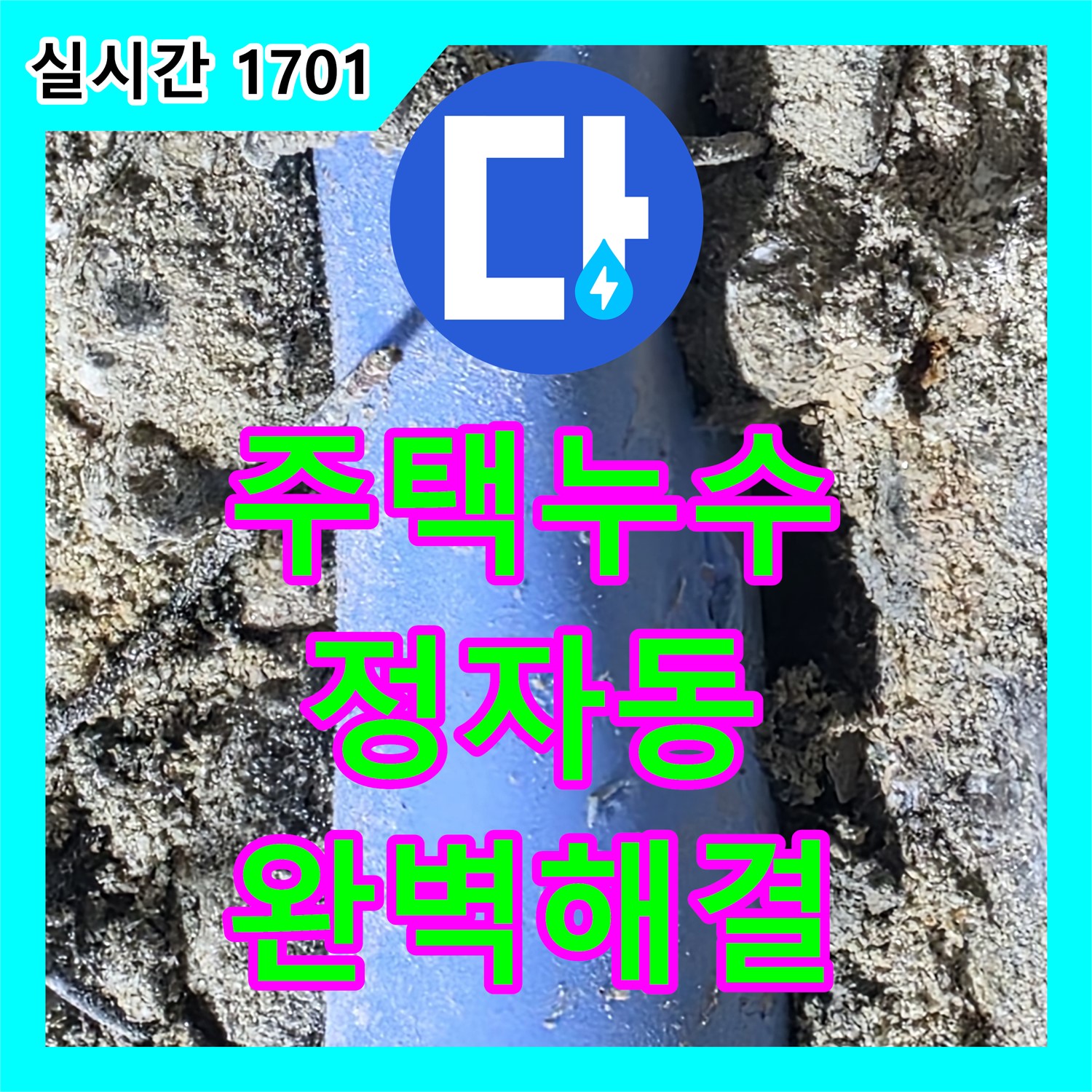 분당 누수전문업체, 정자동 주택 누수 완벽 해결 사례