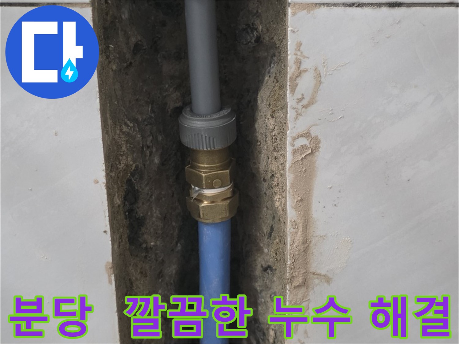 분당 쇳골 - 깔끔하게 누수 해결, 이제 누수 걱정 끝!