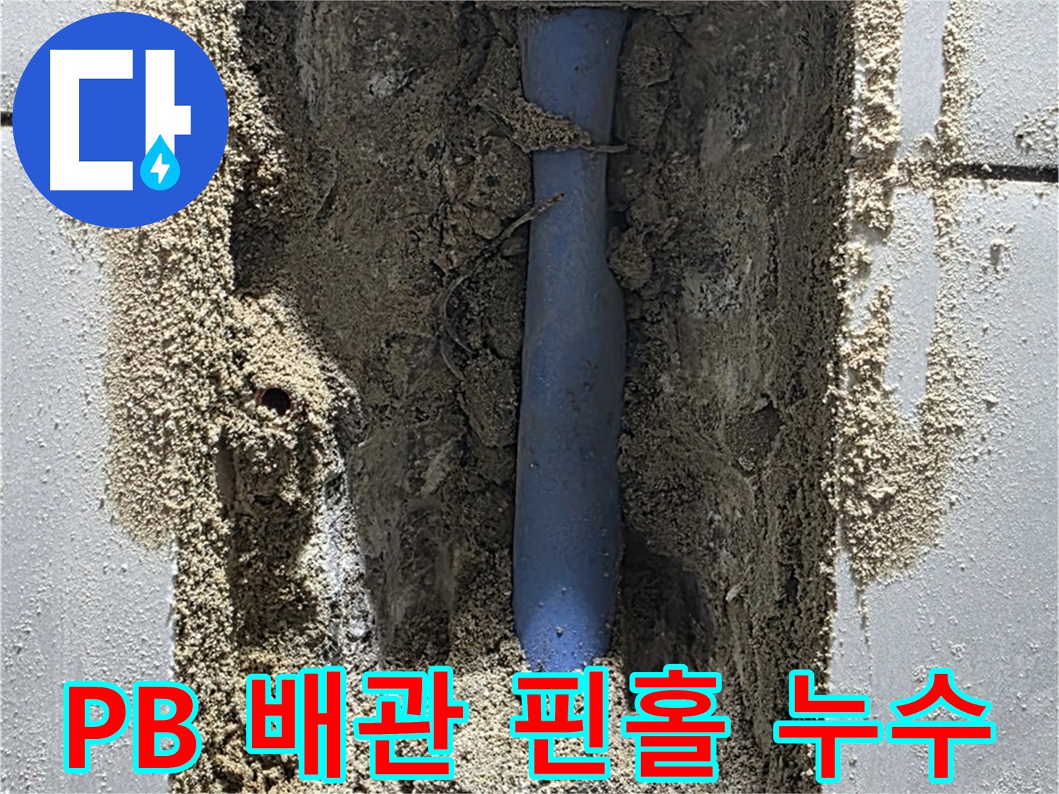 분당 쇳골로 누수 - PB 배관의 핀홀 누수