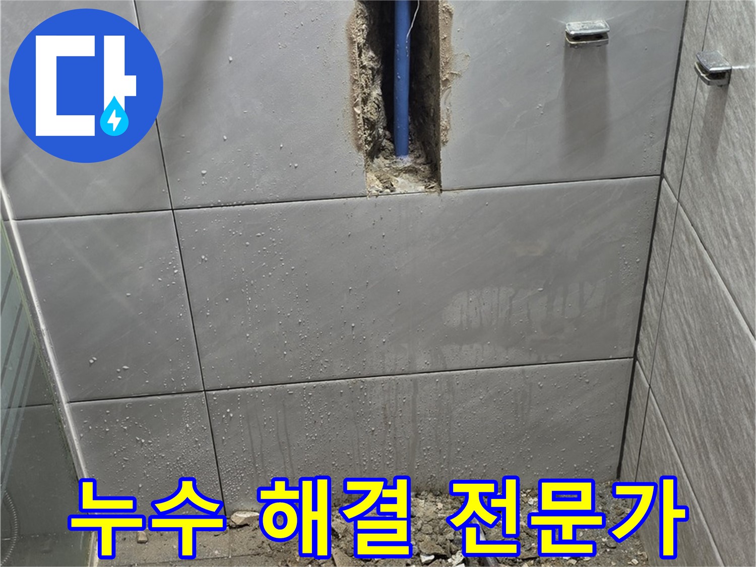 분당 쇳골로47번길 - 욕실 누수, 해결 전문가