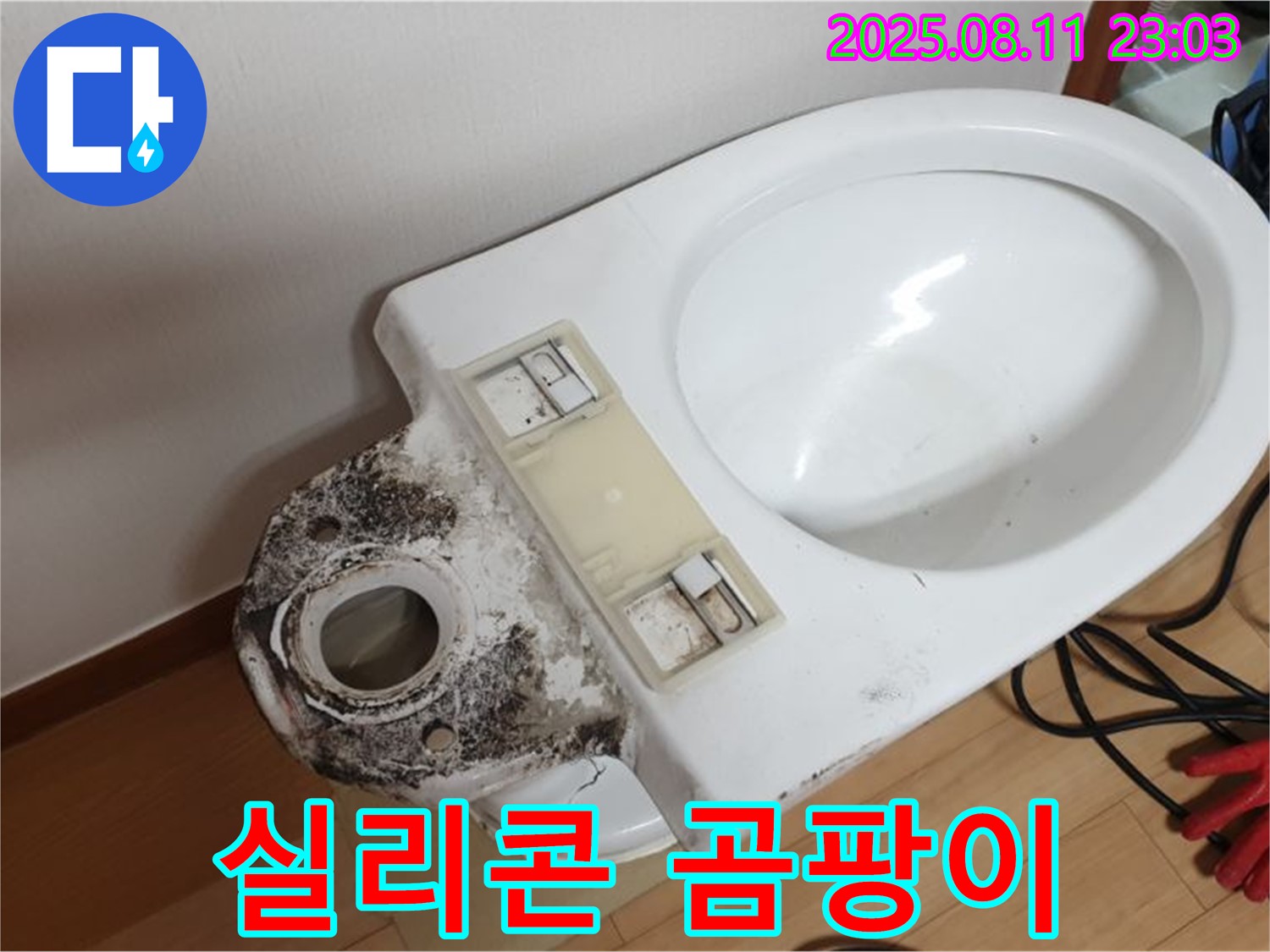 변기 곰팡이 - 실리콘 곰팡이 제거