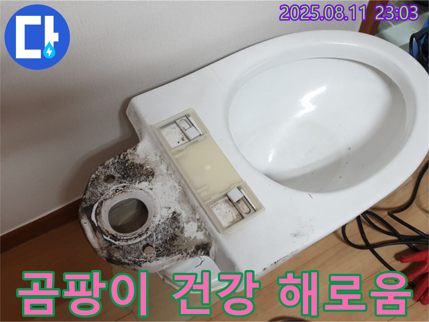 변기 누수 - 곰팡이, 건강에 얼마나 해로울까?