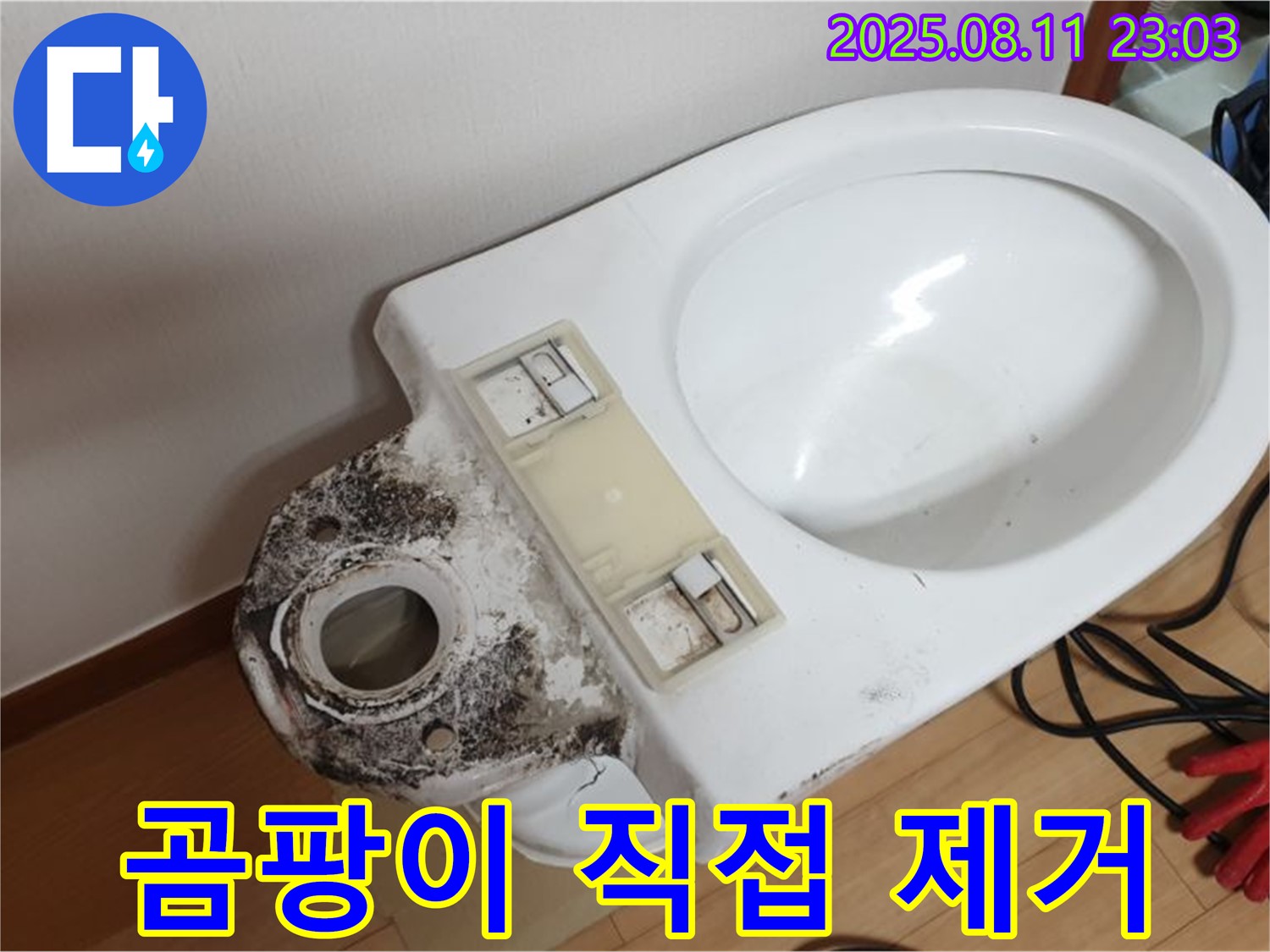 변기 누수 - 곰팡이 제거, 직접 할 수 있을까?