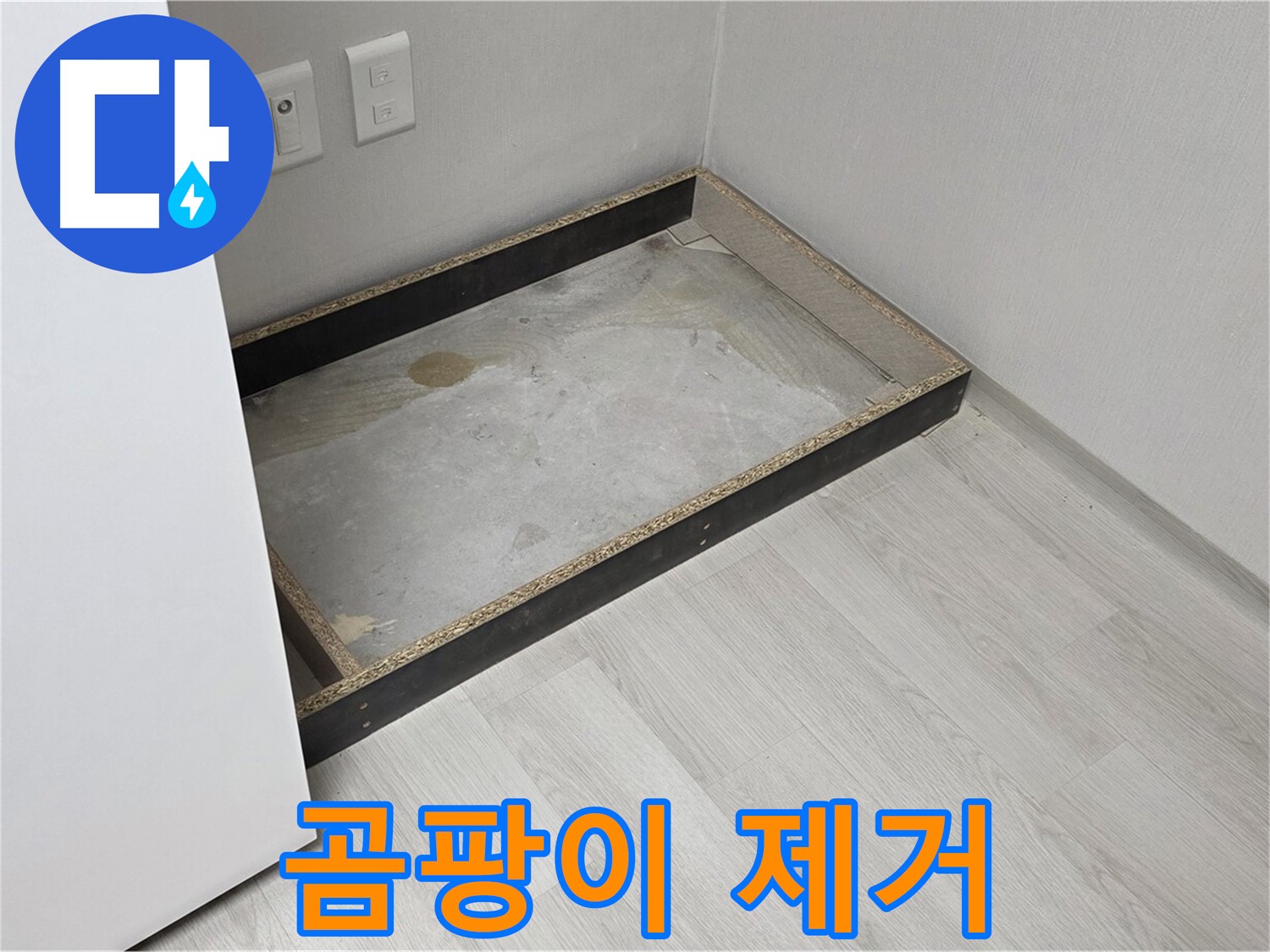 곰팡이 제거 - 완벽