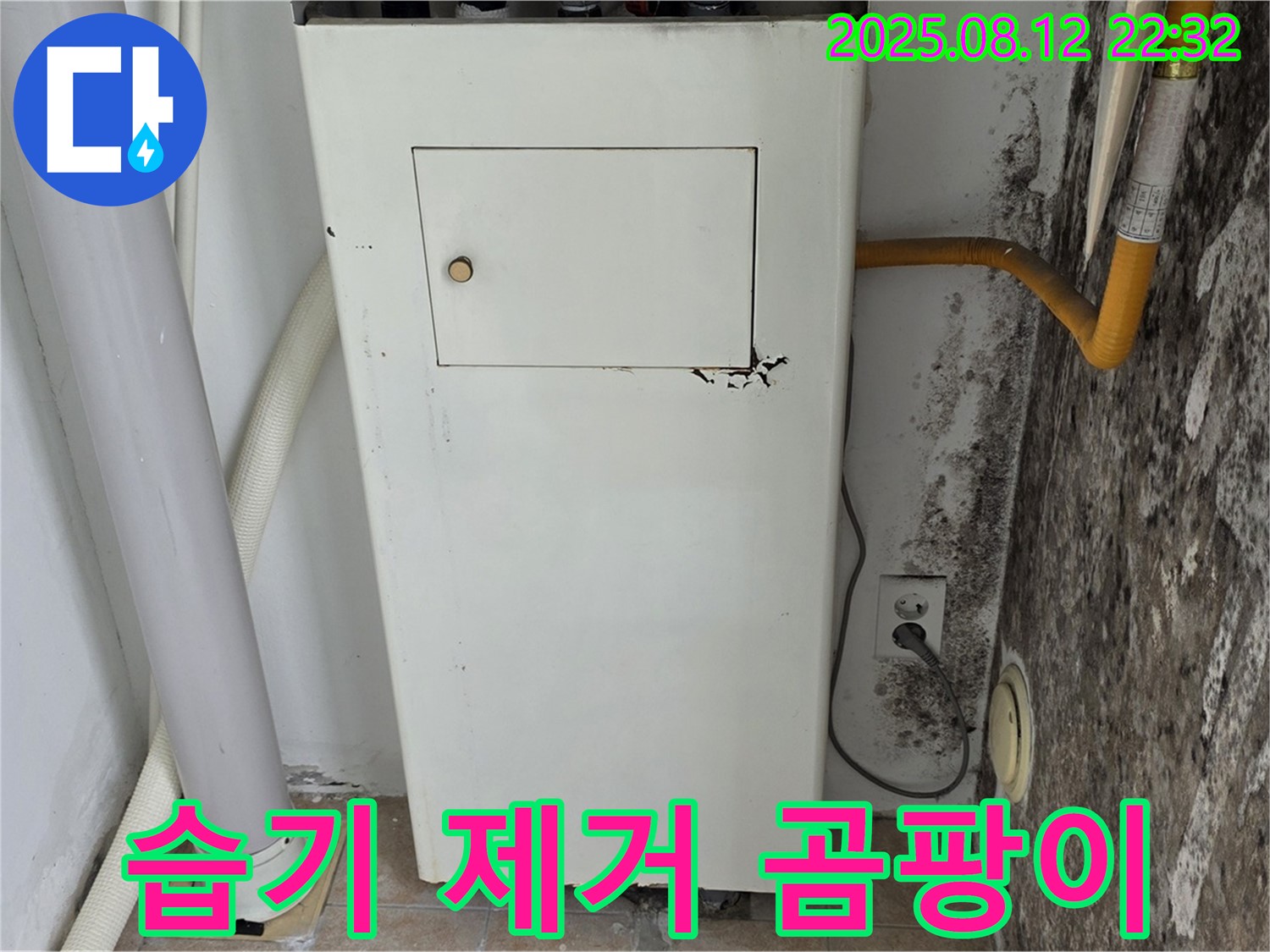 곰팡이 핀 벽 - 습기 문제 해결과 쾌적한 공간으로 변화!