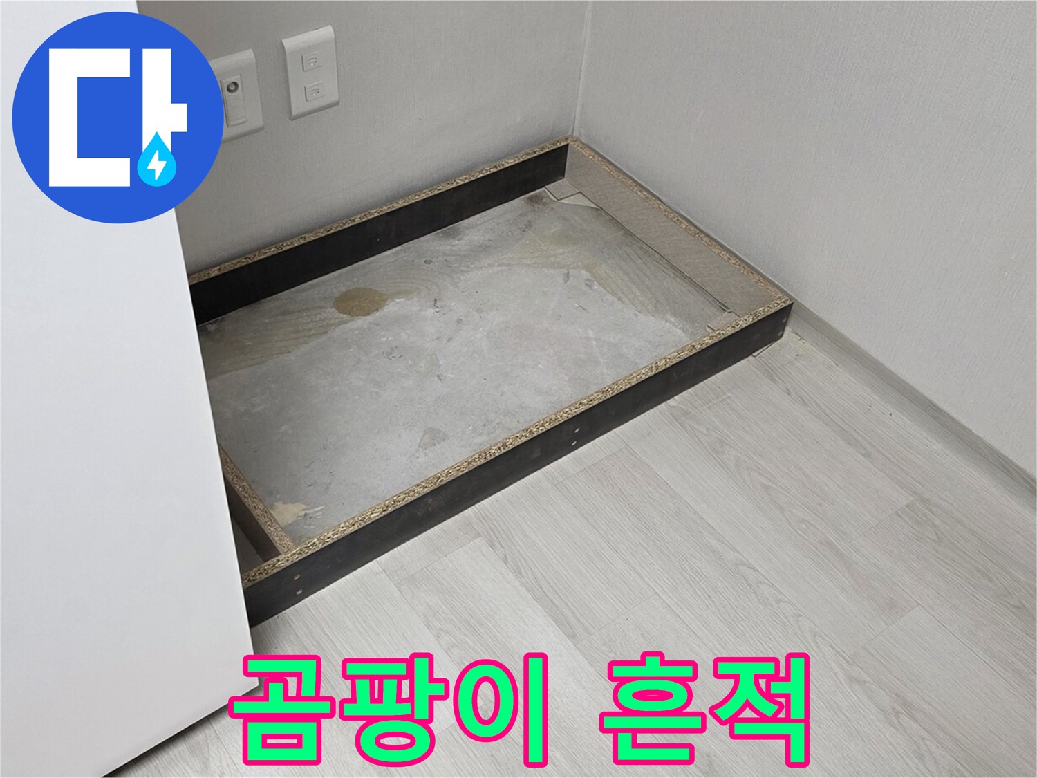 곰팡이 흔적 - 건강 위협